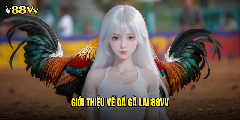 Đá Gà Lai 88VV Sự Kết Hợp Hoàn Hảo Giữa Sức Mạnh Và Tốc Độ 2 Giới Thiệu Về Đá Gà Lai 88VV