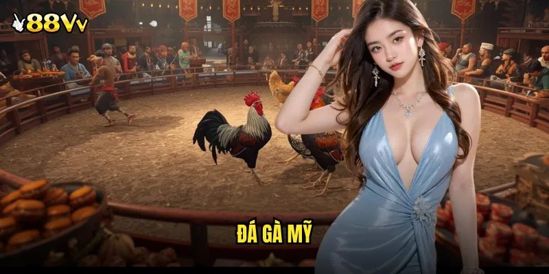 Đá Gà Mỹ 88VV Đẳng Cấp Quốc Tế Với Những Chiến Binh Bất Bại 2 đá gà Mỹ