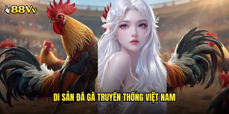 Đá Gà Truyền Thống 88VV Bảo Tồn Tinh Hoa Văn Hóa Dân Tộc 2 Di Sản Đá Gà Truyền Thống Việt Nam