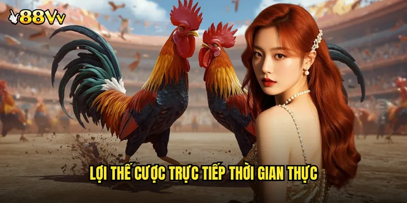 Đá Gà Trực Tiếp 88VV Cảm Giác Như Ngồi Cạnh Vòng Đấu 3 Lợi Thế Cược Trực Tiếp Thời Gian Thực