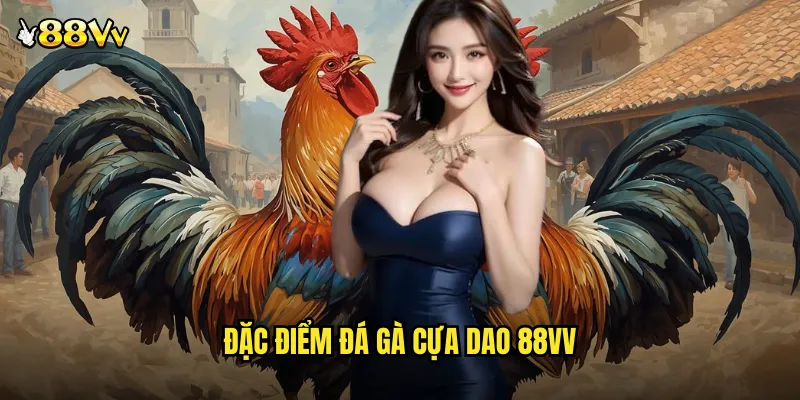 Đá Gà Cựa Dao 88VV Nghệ Thuật Chiến Đấu Bằng Lưỡi Thép Sắc Bén 2 Đặc Điểm Đá Gà Cựa Dao 88VV