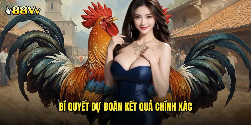 Đá Gà Cựa Dao 88VV Nghệ Thuật Chiến Đấu Bằng Lưỡi Thép Sắc Bén 3 Bí Quyết Dự Đoán Kết Quả Chính Xác