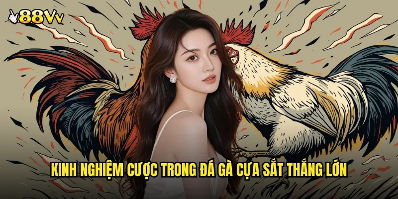 Đá Gà Cựa Sắt 88VV Trận Chiến Bằng Thép Không Khoan Nhượng 3 Kinh Nghiệm Cược Trong Đá Gà Cựa Sắt Thắng Lớn