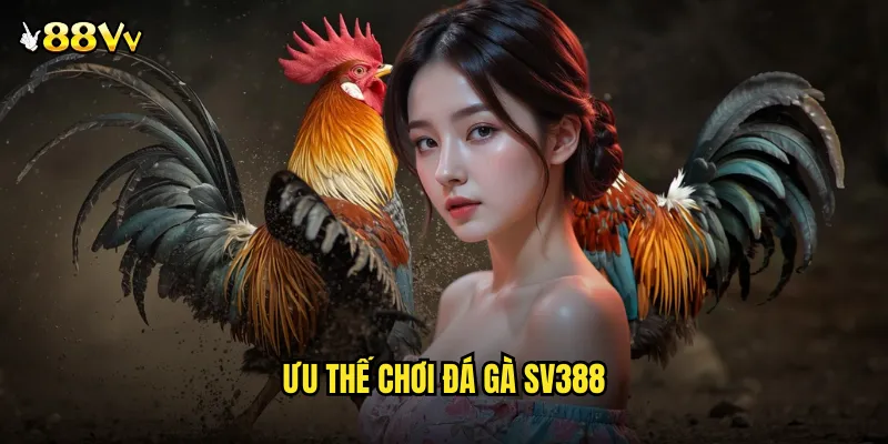 Đá Gà SV388 88VV Siêu Phẩm Giải Trí Đỉnh Cao Công Nghệ 3 Ưu Thế Chơi Đá Gà SV388