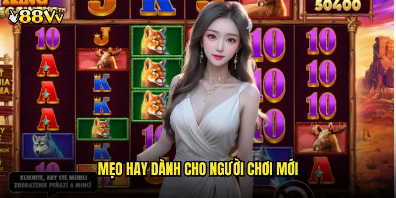 Trải Nghiệm Nổ Hũ Bầu Cua 88VV Hương Vị Tết Truyền Thống 3 Mẹo Hay Dành Cho Người Chơi Mới