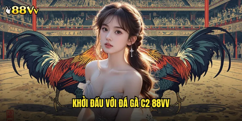 Đá Gà C2 88VV Sòng Bạc Trực Tuyến Đẳng Cấp Quốc Tế 2 Khởi Đầu Với Đá Gà C2 88VV